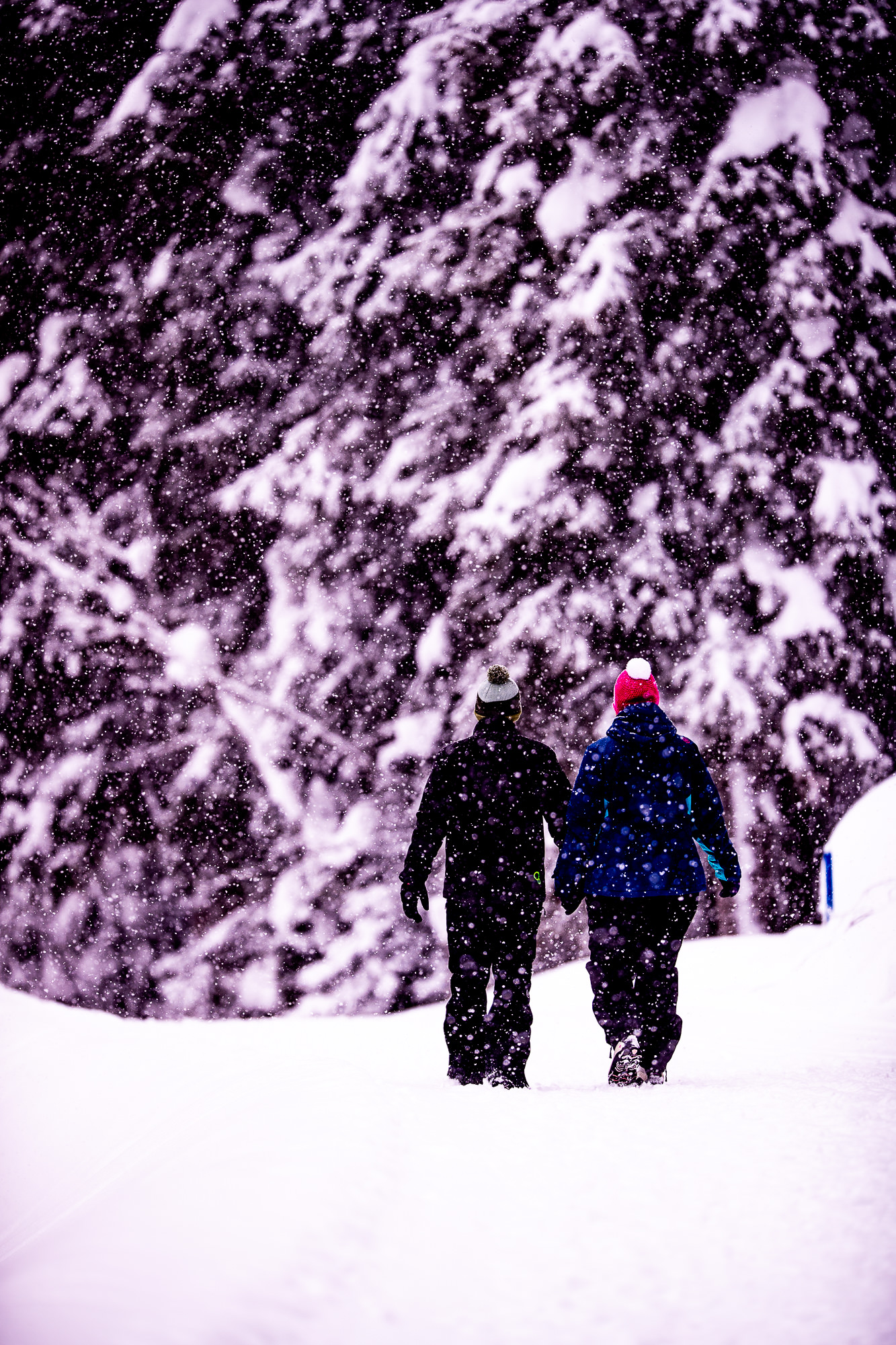 Export x3 1DX28920 Verlobungsfotoshooting 2018 Anna & Dominik 4